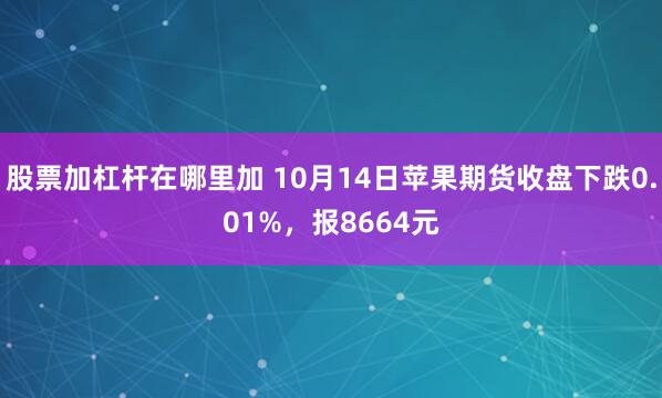 股票加杠杆在哪里加 10月14日苹果期货收盘下跌0.01%，报8664元