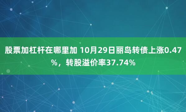 股票加杠杆在哪里加 10月29日丽岛转债上涨0.47%，转股溢价率37.74%