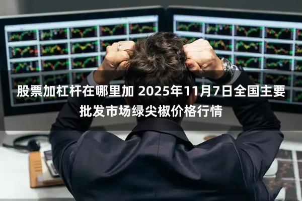 股票加杠杆在哪里加 2025年11月7日全国主要批发市场绿尖椒价格行情