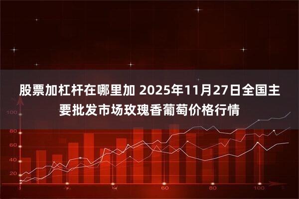 股票加杠杆在哪里加 2025年11月27日全国主要批发市场玫瑰香葡萄价格行情