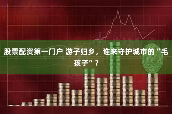股票配资第一门户 游子归乡，谁来守护城市的“毛孩子”？
