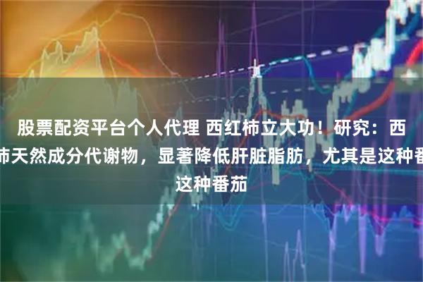 股票配资平台个人代理 西红柿立大功！研究：西红柿天然成分代谢物，显著降低肝脏脂肪，尤其是这种番茄